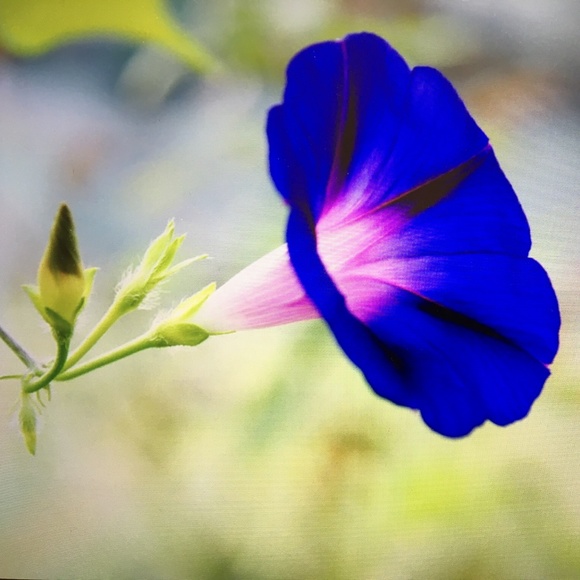 Bundle & Make Offer - Picture 1 of 4